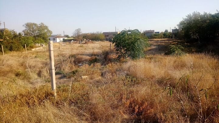 Участок 6 сот. (СНТ, ДНП)