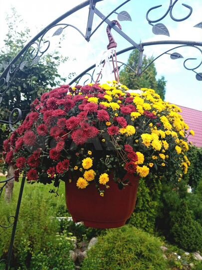 Дача 80 м² на участке 9 сот.