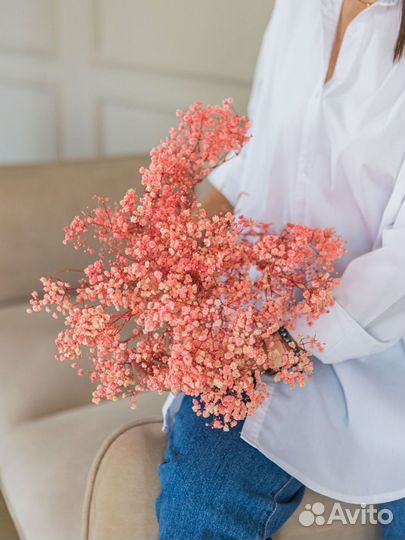 Сухоцветы хлопок букет