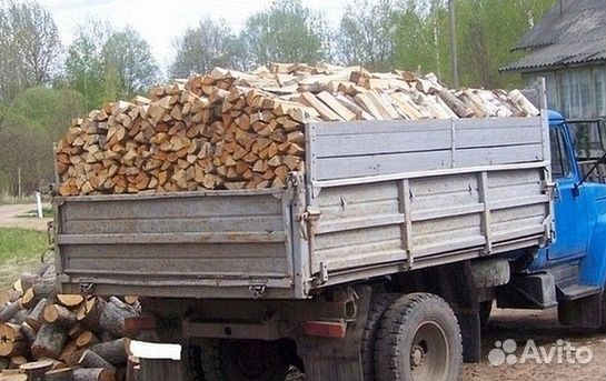 Дрова береза