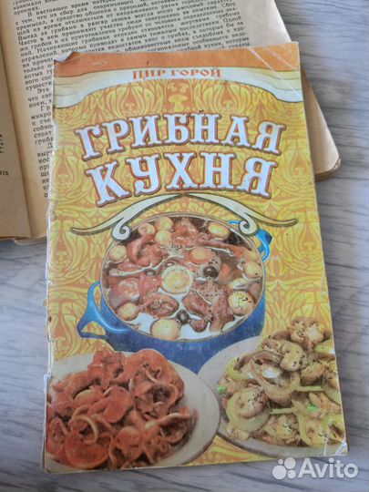 Книга грибы