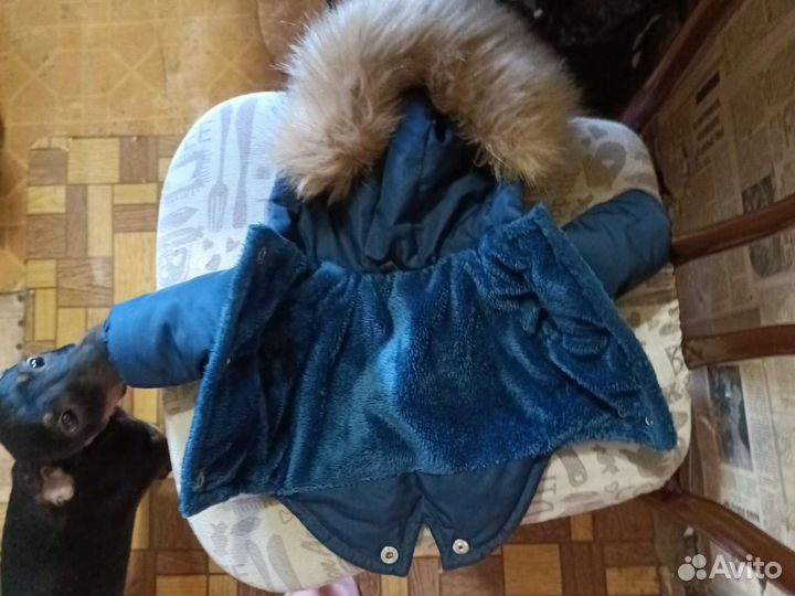 Куртка для собак