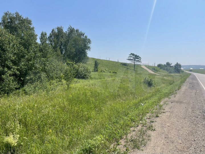 Участок 38 сот. (ИЖС)