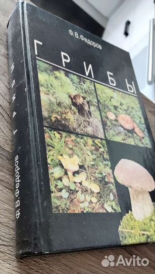 Грибы Ф. В. Федоров