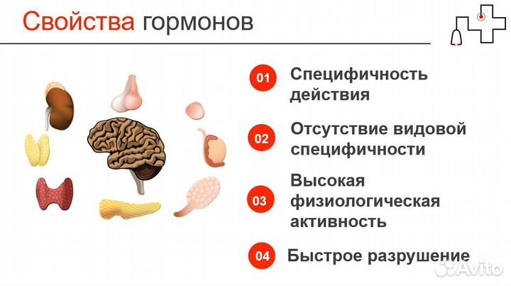 Помощь с учебой, создание презентаций