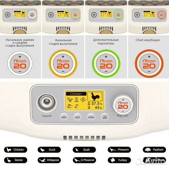 Инкубатор Rcom 20 DO PRO с овоскопом