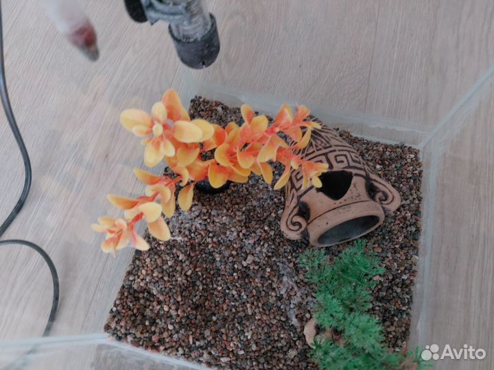 Аквариум с декором, нагревателем и градусником