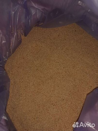 Амарант - лучшее средство для молодости