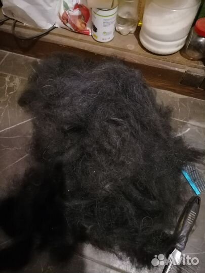 Собачья шерсть продать