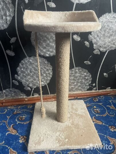 Когтеточка