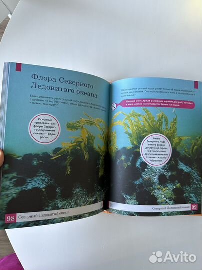 Детская энциклопедия океаны