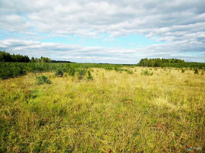 Участок 2 га (СНТ, ДНП)