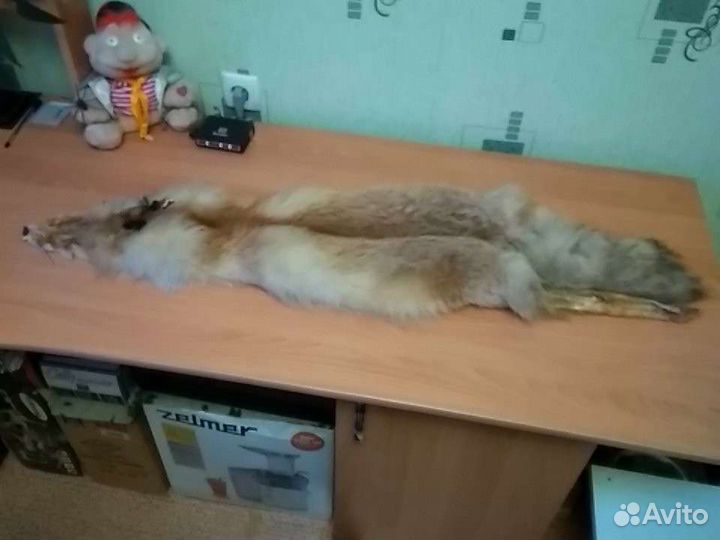 Шкуры рыжей лисы