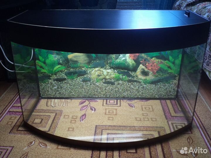 Продаю новые аквариумы для Рыб и Черепашники