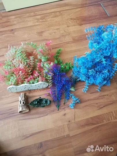 Для аквариума