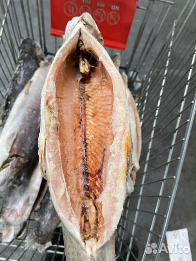 Форель оптом