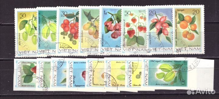 Вьетнам, 1981. Цветы (гаш., с зубцами+бз)