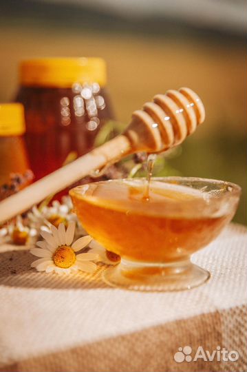 Алтайский мед