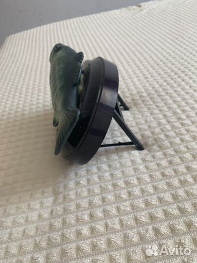 Поющая рыба