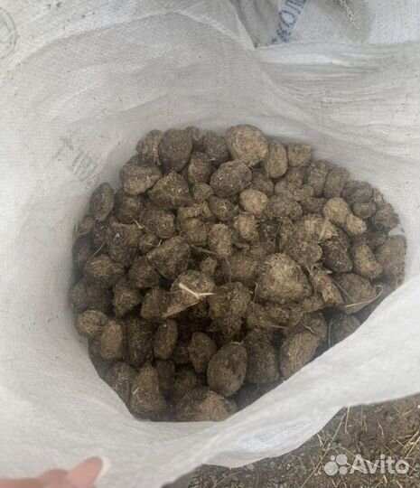 Навоз конский в мешках Перегной