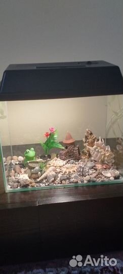 Аквариум