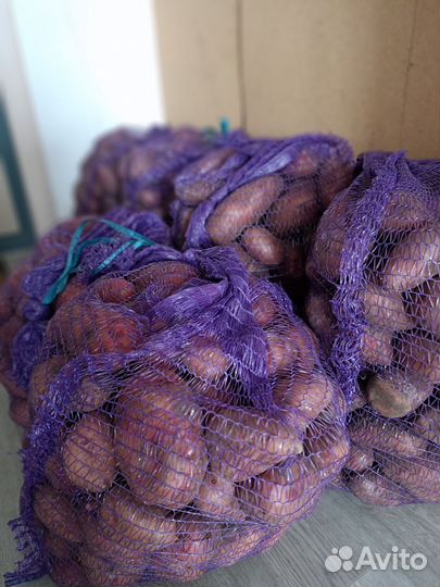 Продам картофель