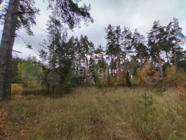 Участок 11 сот. (личное подсобное хозяйство (лпх))