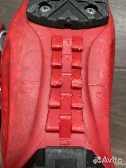 Горнолыжные ботинки