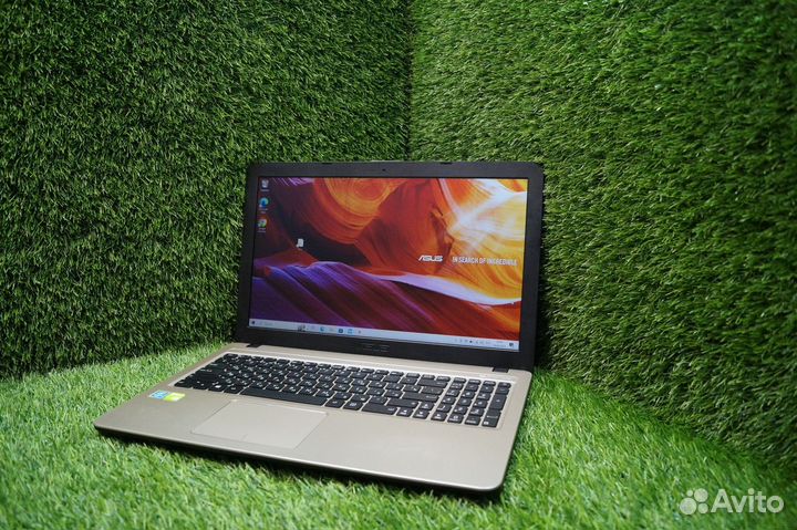 Шикарный asus для учебы и игр на SSD +Geforce