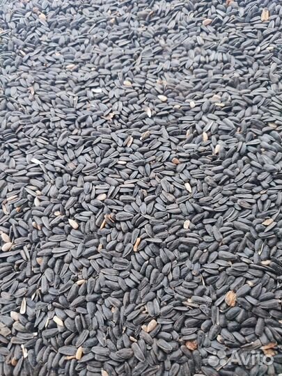 Зерносмесь