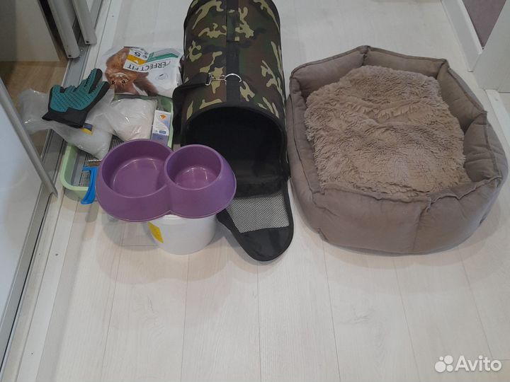 Инвентарь,корм,медикамент для кошек