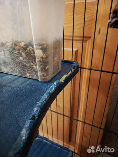 Клетка для грызунов большая