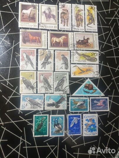 Почтовые марки СССР 