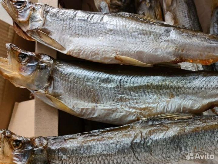 Корюшка вяленая икряная