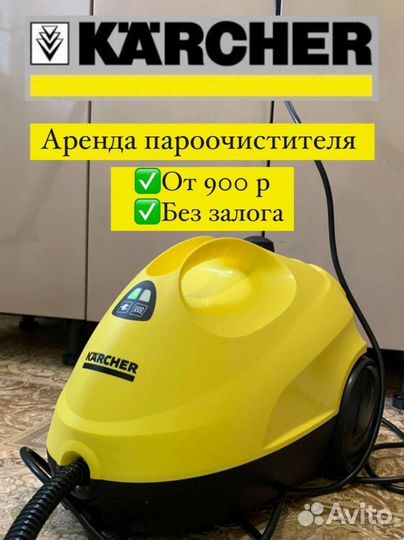 Пароочиститель karcher аренда