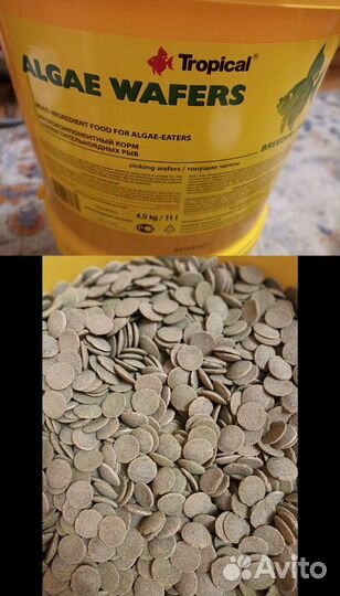 Корм для аквариумных рыб и растения