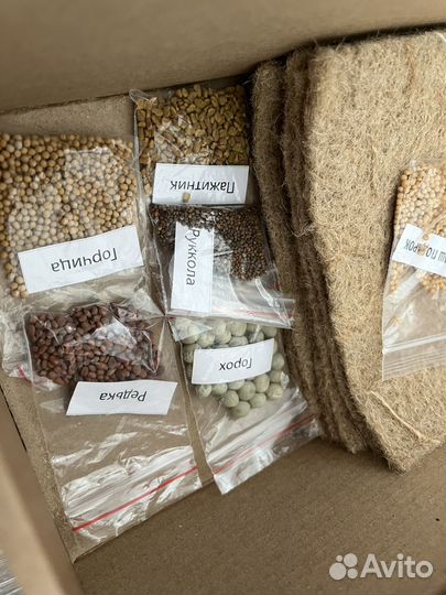 Набор для выращивания микрозелени