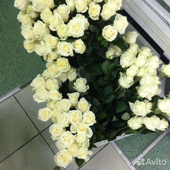 Розы белые 70 см (Россия, Кения, Эквадор)
