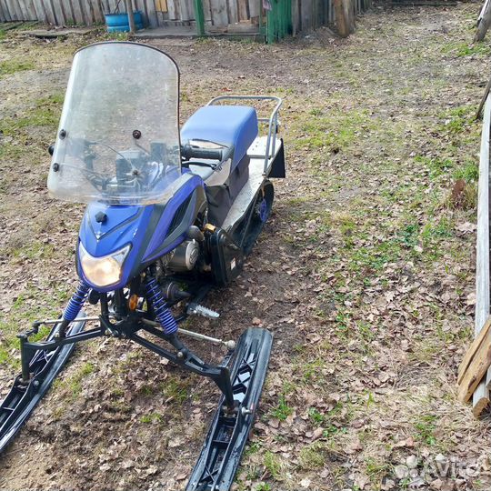 Динго Т125