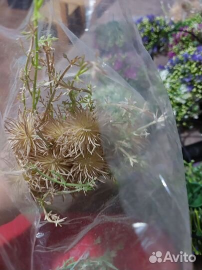 Листья мини для мыловарения, букетов