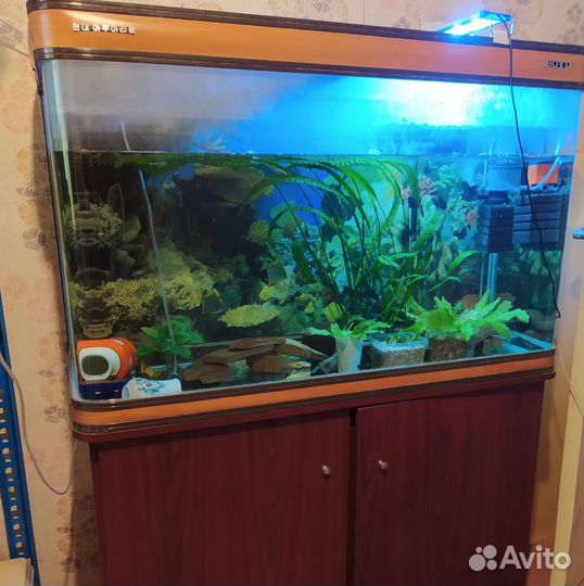 Помпа атман 201, аквариум 240 л