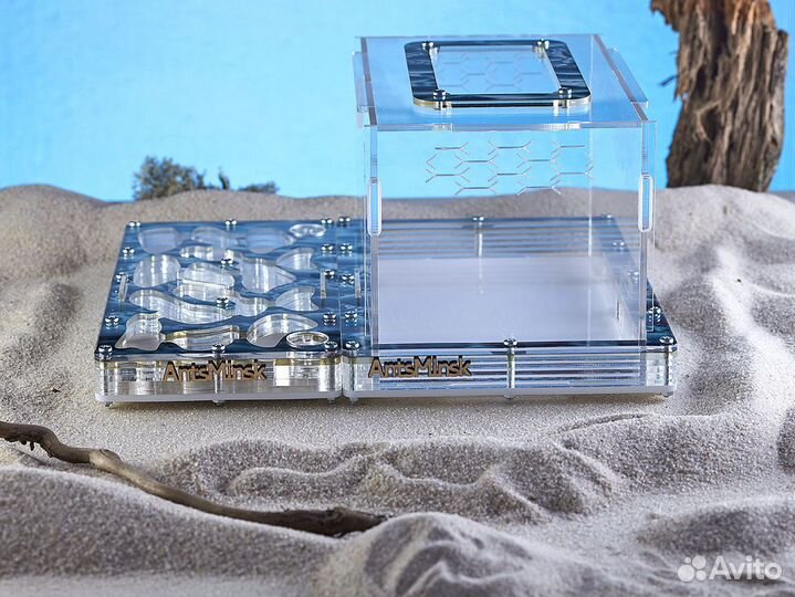 Муравьиная ферма новая с муравьями