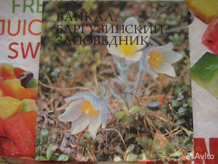 Байкал Баргузинский заповедник 1993