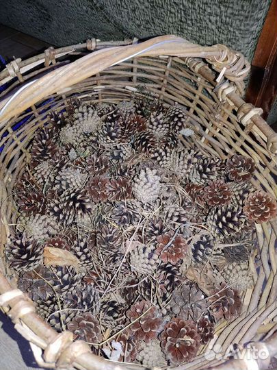 Сосновые шишки декора