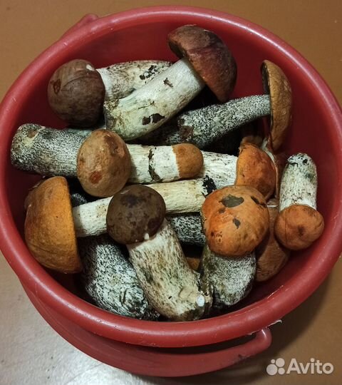 Красноголовики