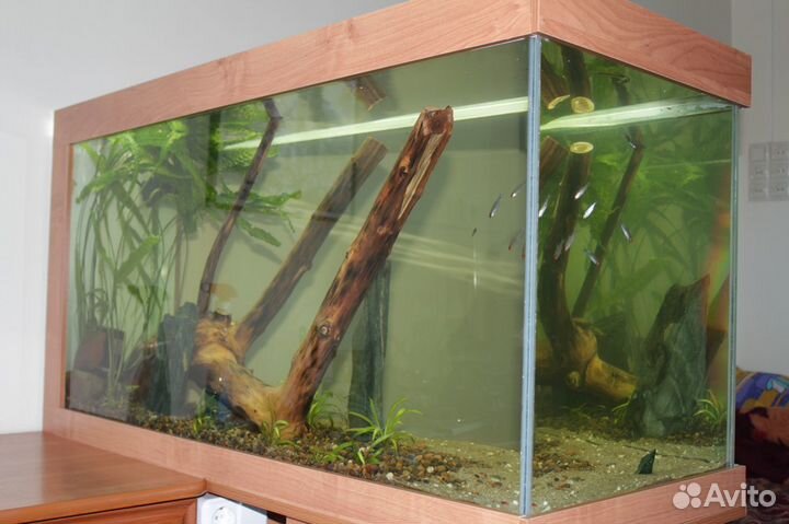 Аквариумы на заказ