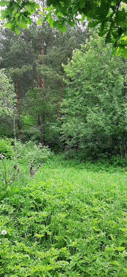 Дача 48 м² на участке 6 сот.