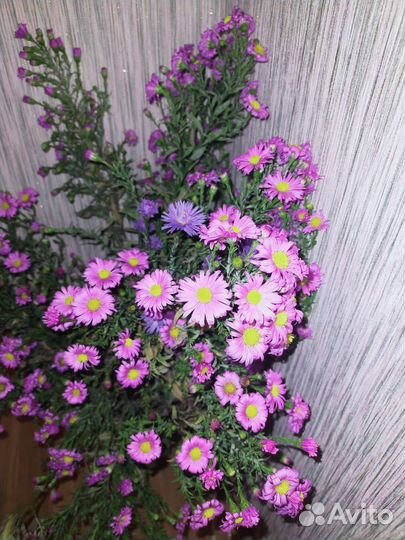 Октябринки