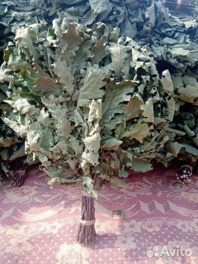 Дубовые веники для бани