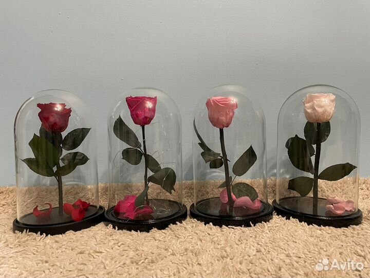 Роза в колбе 29 высота